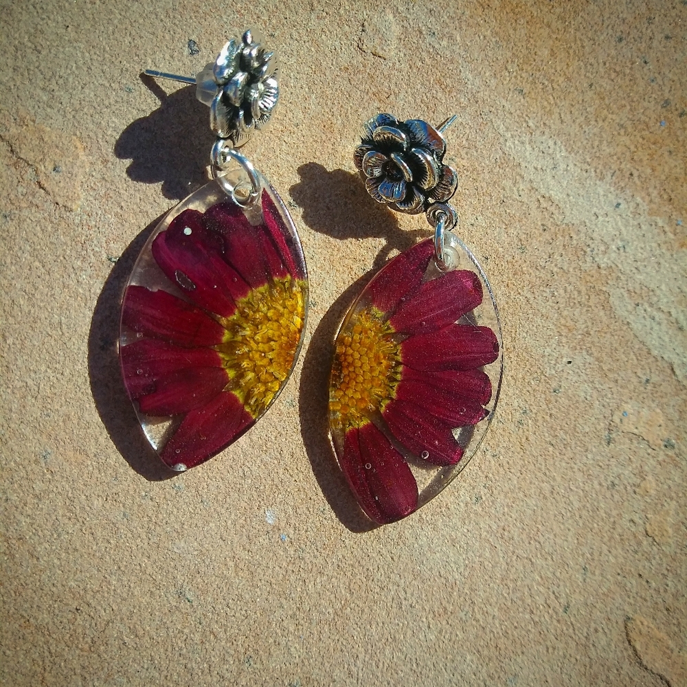 Real daisy earrings